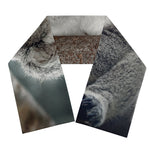 Cute Koala Print Scarf