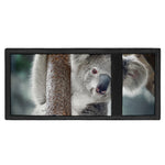 Cute Koala Print Trifold Wallet