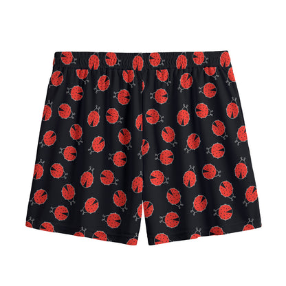 Cute Ladybird Pattern Print Mesh Shorts