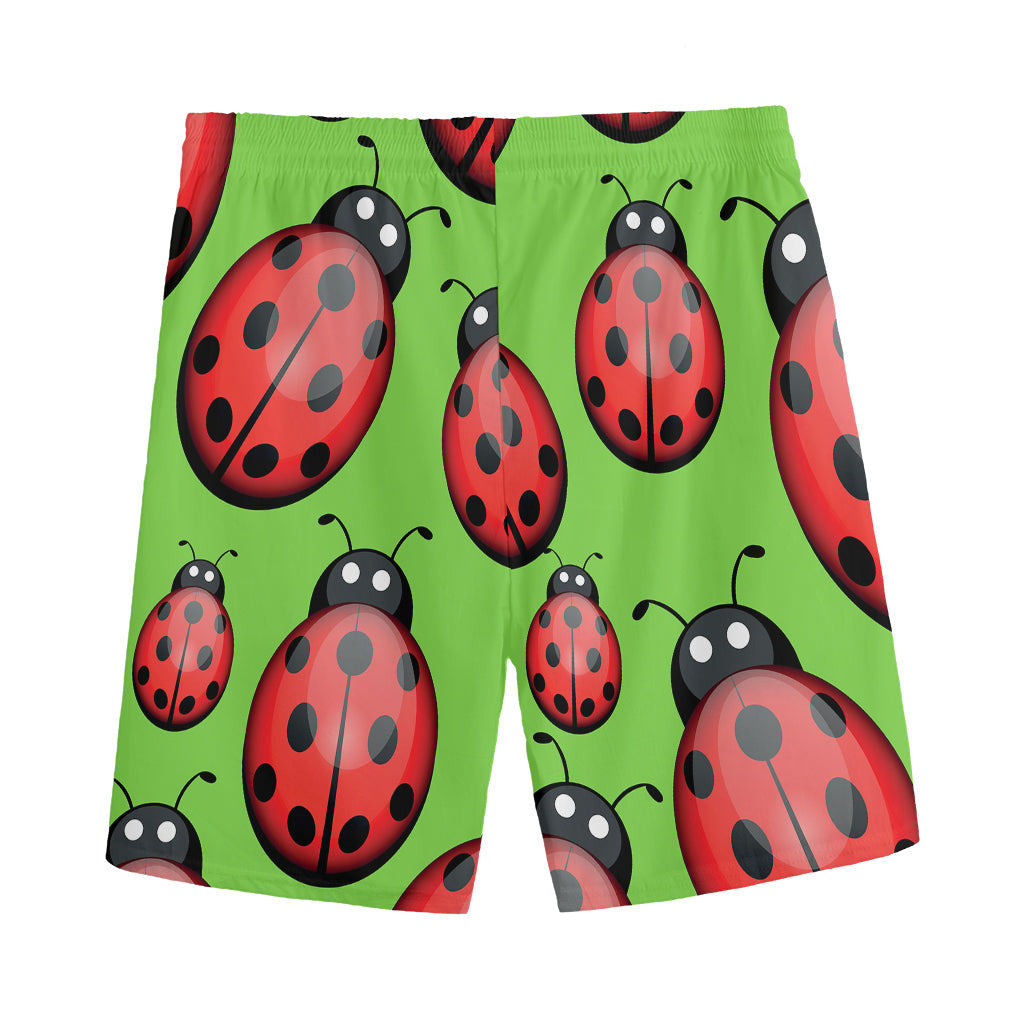 Cute Ladybug Pattern Print Men's Sports Shorts
