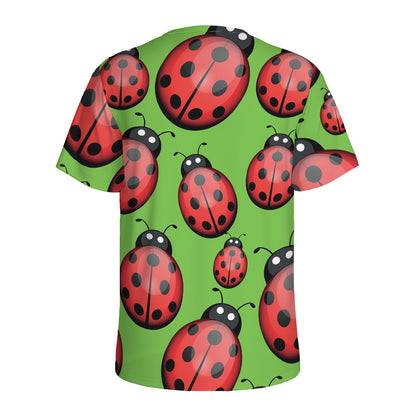 Cute Ladybug Pattern Print Men's Sports T-Shirt