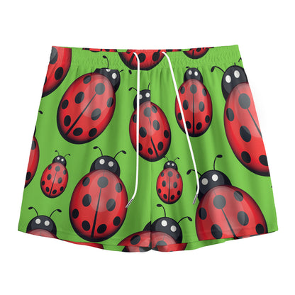 Cute Ladybug Pattern Print Mesh Shorts