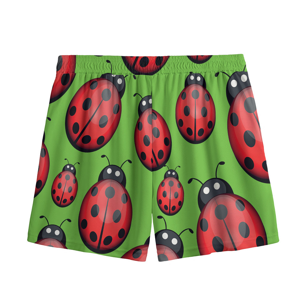 Cute Ladybug Pattern Print Mesh Shorts