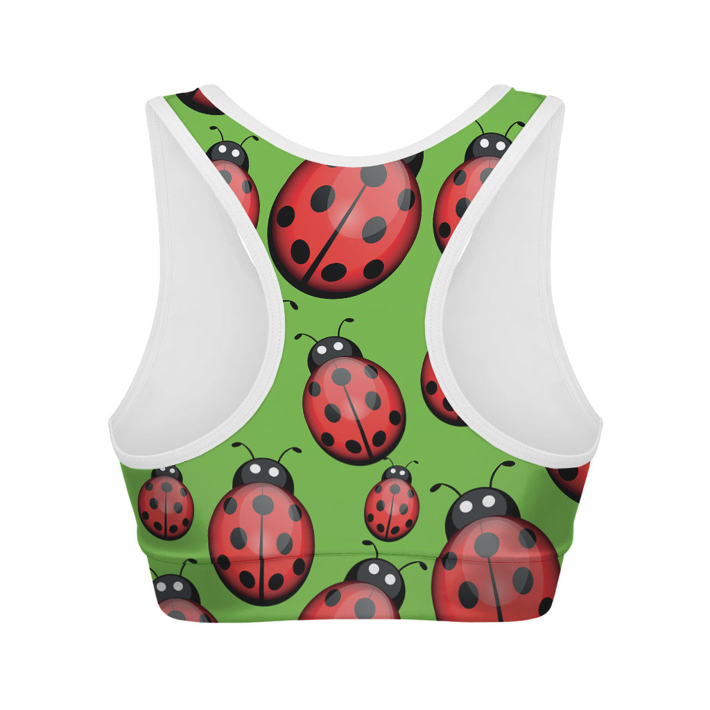 Cute Ladybug Pattern Print Women's Sports Bra