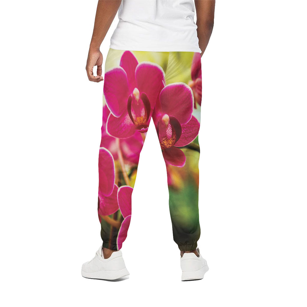Cute Orchid Print Cotton Pants