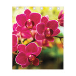 Cute Orchid Print Curtain