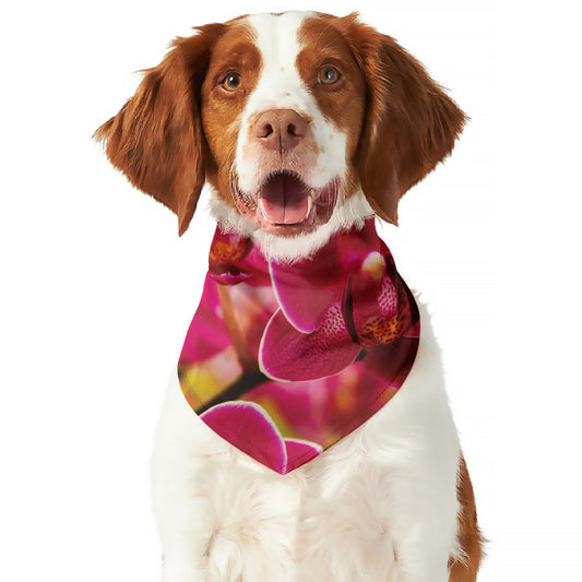 Cute Orchid Print Dog Bandana