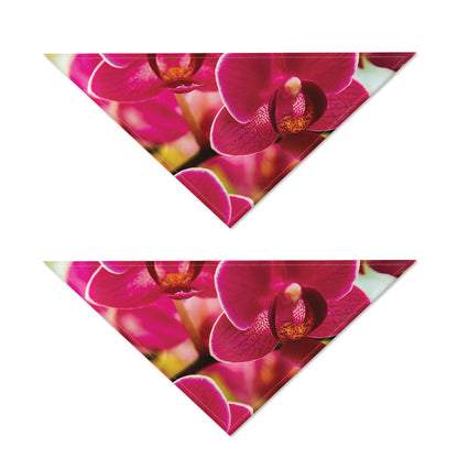 Cute Orchid Print Dog Bandana