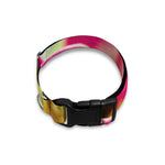 Cute Orchid Print Dog Collar