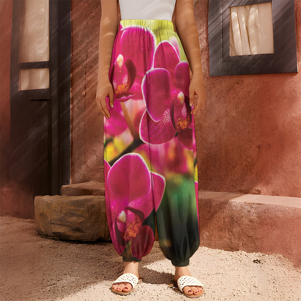 Cute Orchid Print Harem Pants