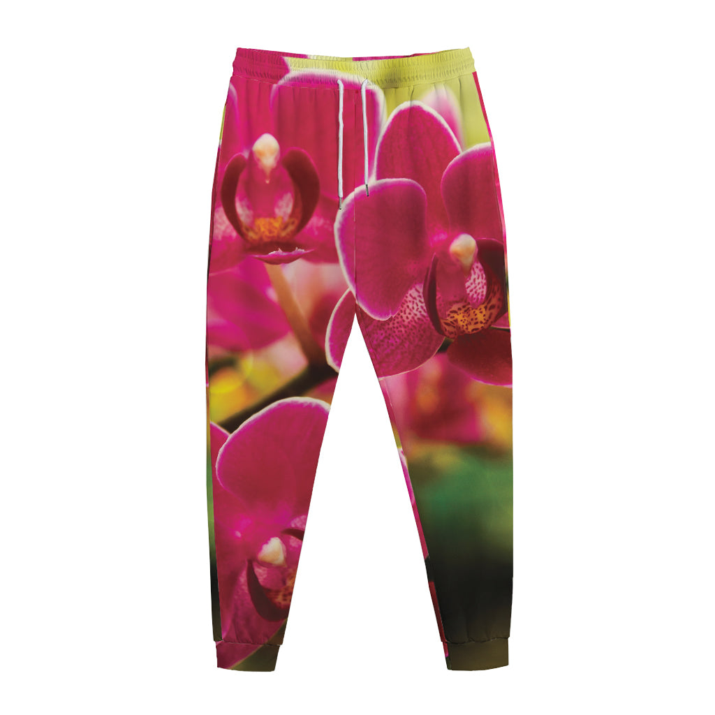 Cute Orchid Print Jogger Pants