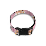 Cute Polka Dot Baby Bear Pattern Print Dog Collar