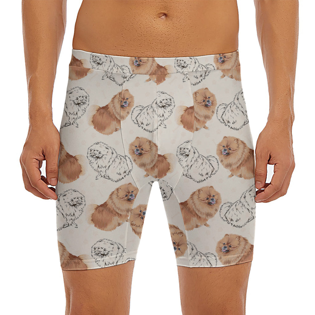 Cute Pomeranian Pattern Print Men's Long Boxer Briefs