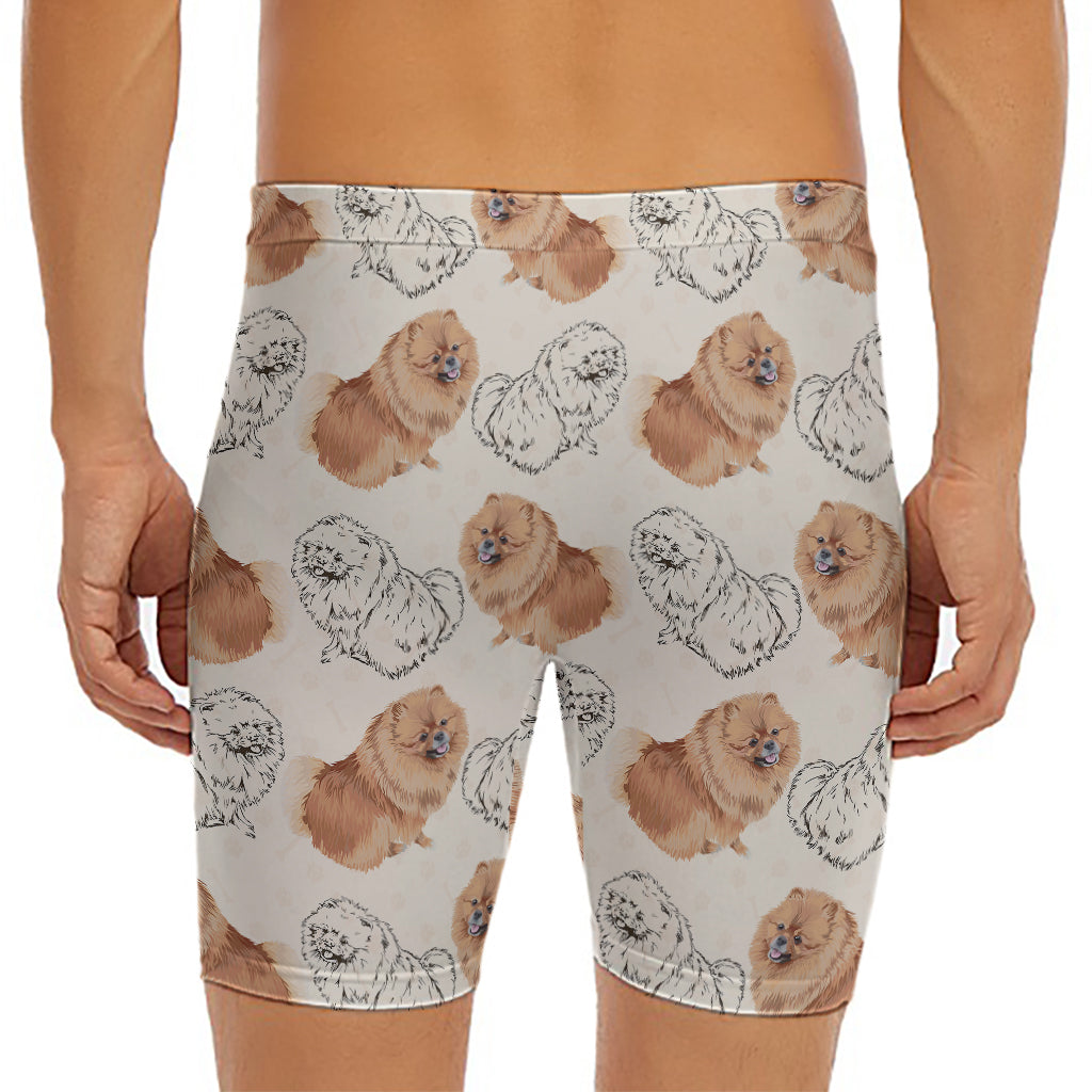 Cute Pomeranian Pattern Print Men's Long Boxer Briefs