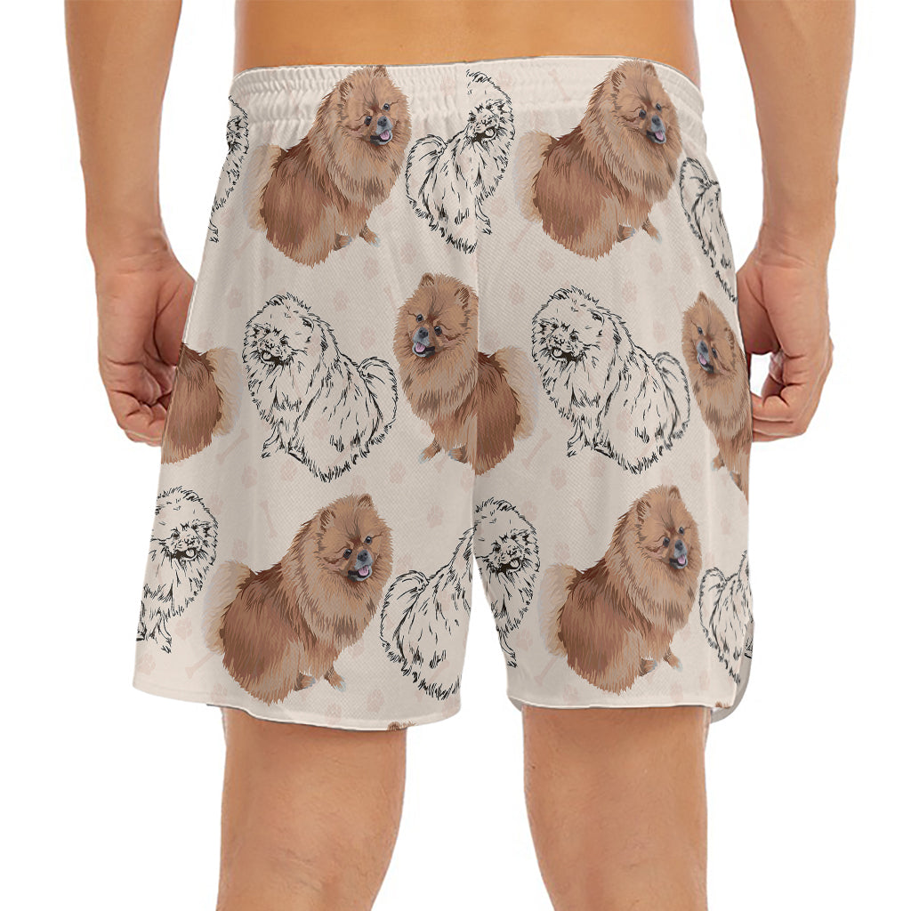 Cute Pomeranian Pattern Print Men's Split Running Shorts