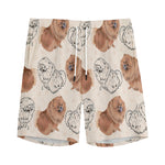 Cute Pomeranian Pattern Print Men's Sports Shorts