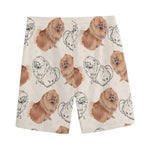 Cute Pomeranian Pattern Print Men's Sports Shorts