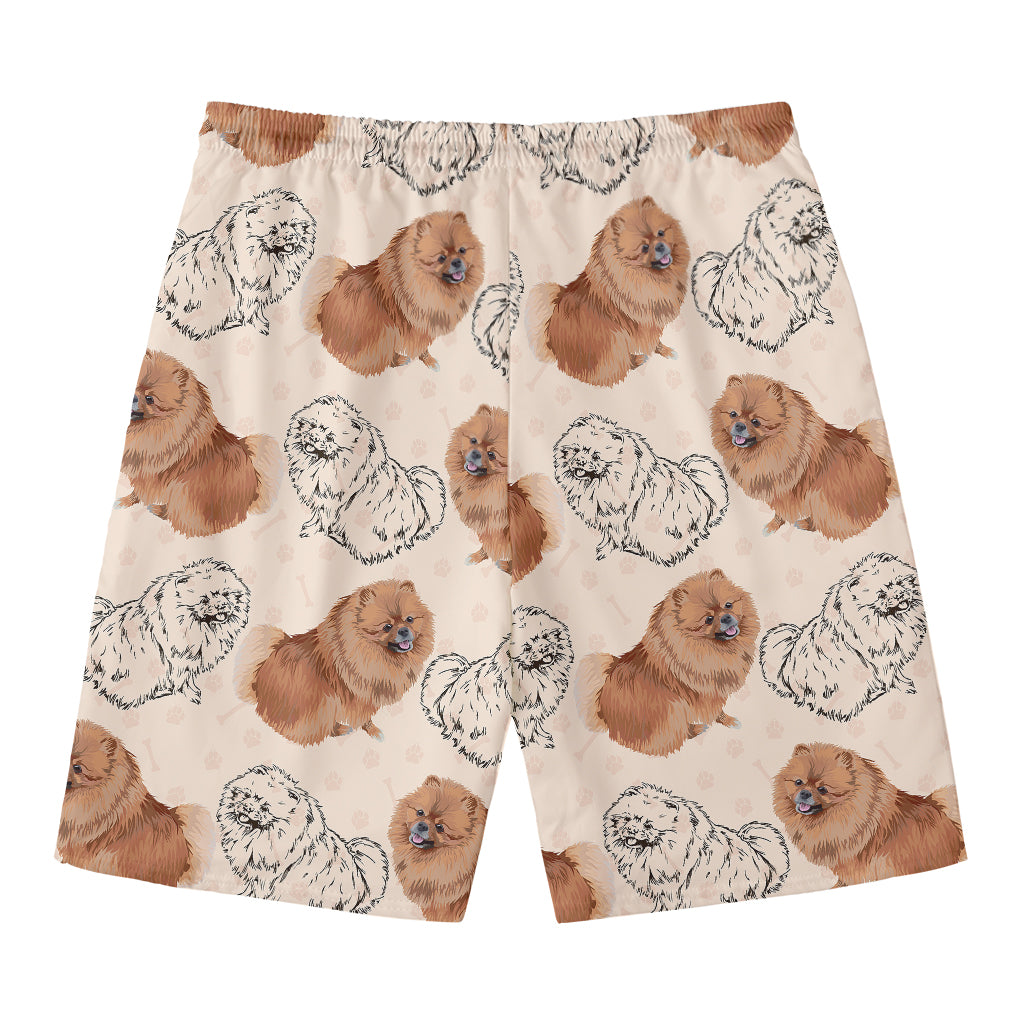 Cute Pomeranian Pattern Print Men's Swim Trunks