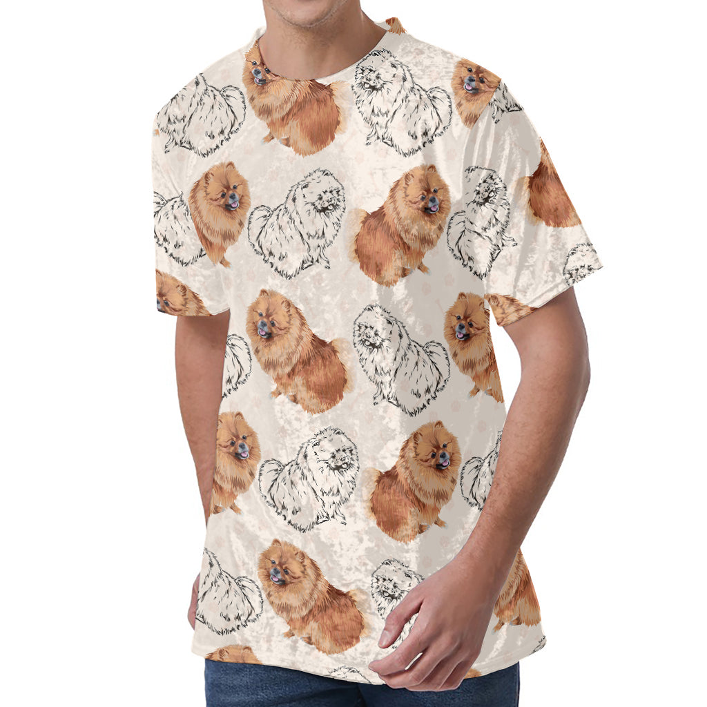 Cute Pomeranian Pattern Print Men's Velvet T-Shirt