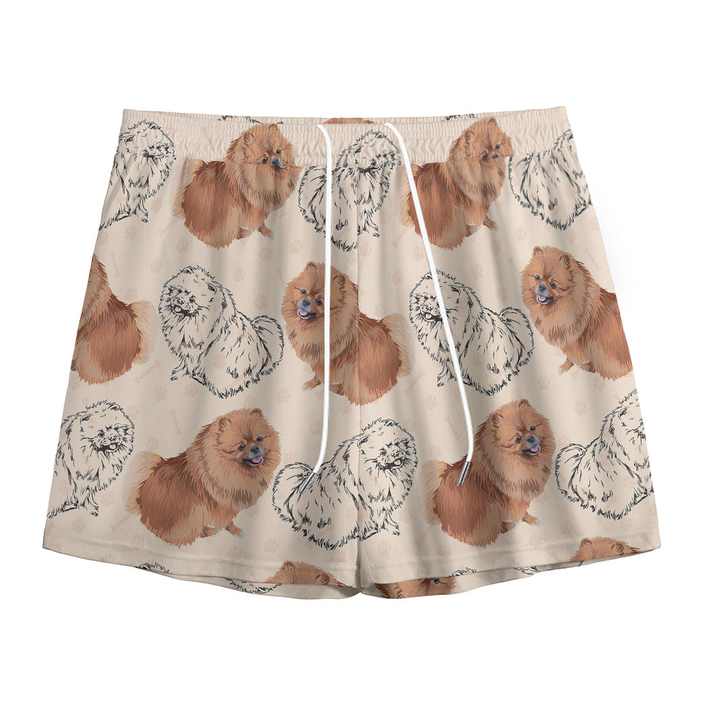 Cute Pomeranian Pattern Print Mesh Shorts