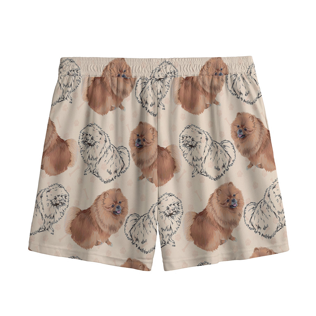 Cute Pomeranian Pattern Print Mesh Shorts