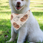 Cute Pomeranian Pattern Print Over The Collar Dog Bandana