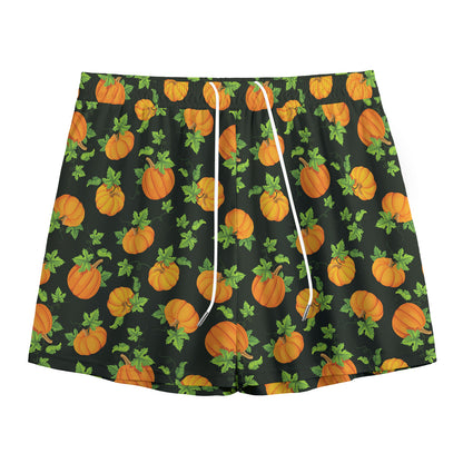 Cute Pumpkin Pattern Print Mesh Shorts