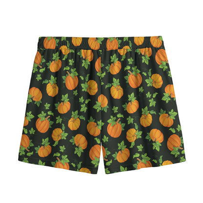 Cute Pumpkin Pattern Print Mesh Shorts