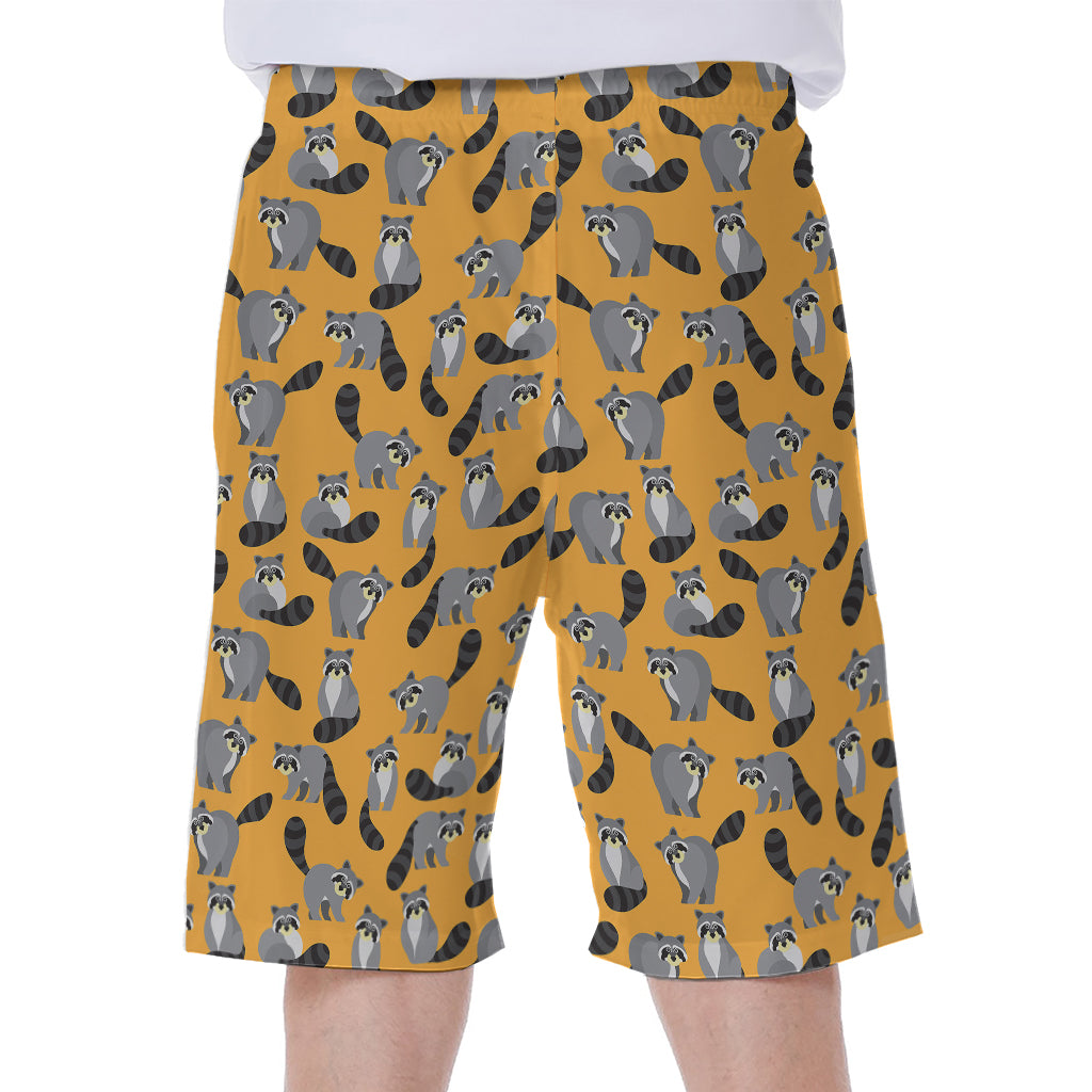 Cute Raccoon Pattern Print Men's Beach Shorts