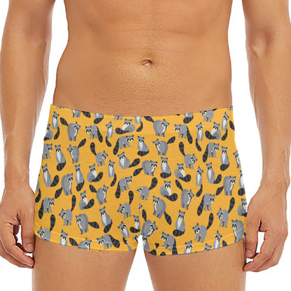 Cute Raccoon Pattern Print Men's Short Boxer Briefs