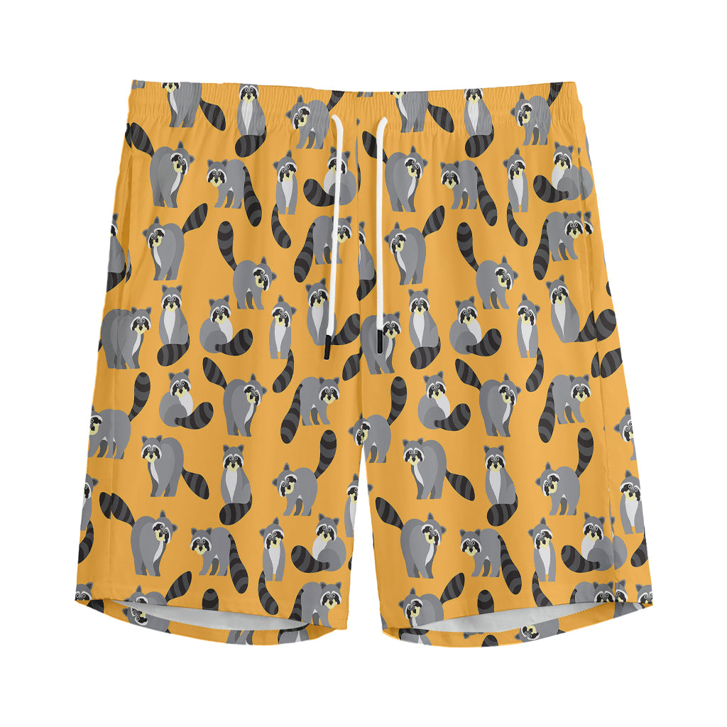 Cute Raccoon Pattern Print Men's Sports Shorts