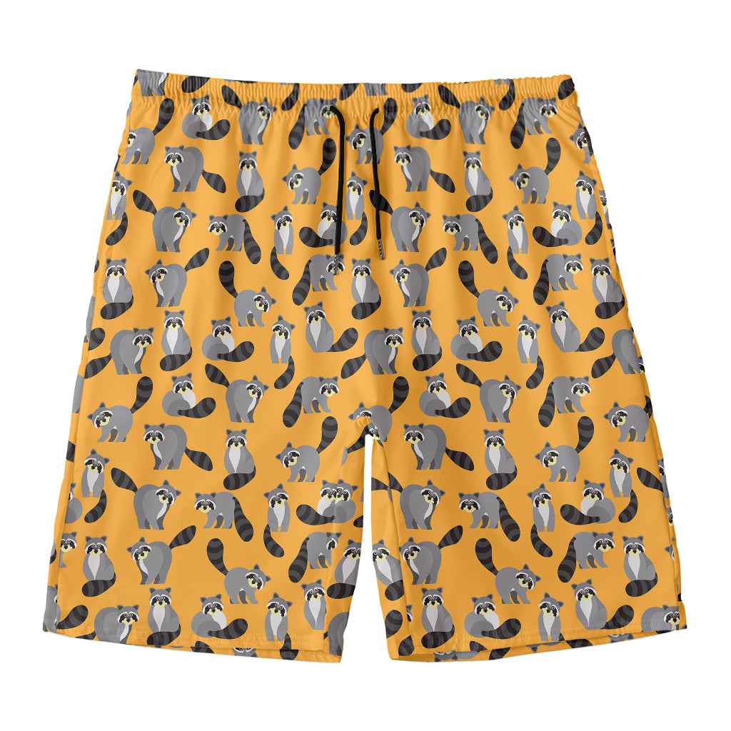 Cute Raccoon Pattern Print Men's Swim Trunks