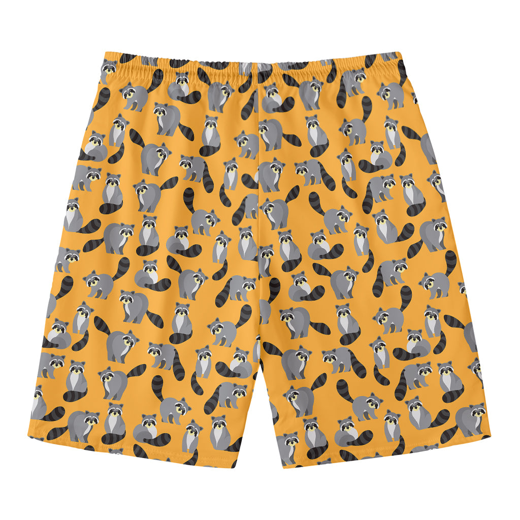 Cute Raccoon Pattern Print Men's Swim Trunks