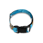 Cute Shark Pattern Print Dog Collar