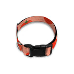 Cute Tomato Pattern Print Dog Collar