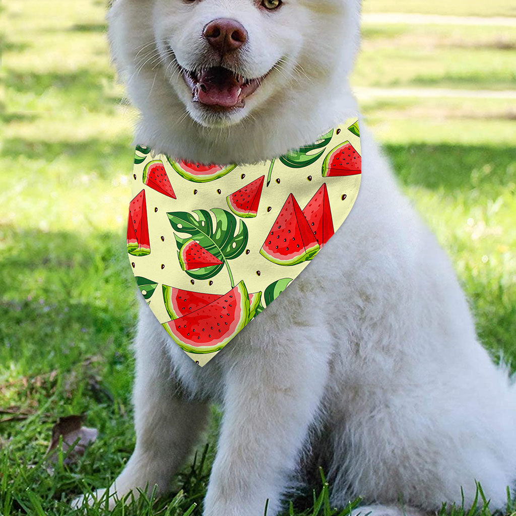 Cute Tropical Watermelon Pattern Print Over The Collar Dog Bandana