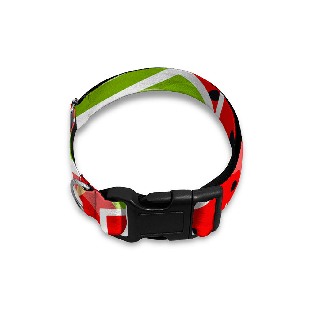 Cute Watermelon Slices Pattern Print Dog Collar
