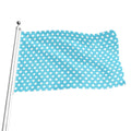Cyan And White Polka Dot Pattern Print Flag