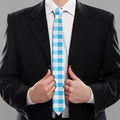 Cyan Blue And White Gingham Print Necktie