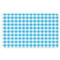 Cyan Blue And White Gingham Print Polyester Doormat