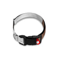 Dachshund With Red Sunglasses Print Dog Collar