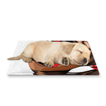 Dachshund With Red Sunglasses Print Pet Cooling Mat Cover