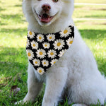 Daisy Flower Pattern Print Over The Collar Dog Bandana