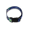 Dark Blue Floral Hummingbird Print Dog Collar
