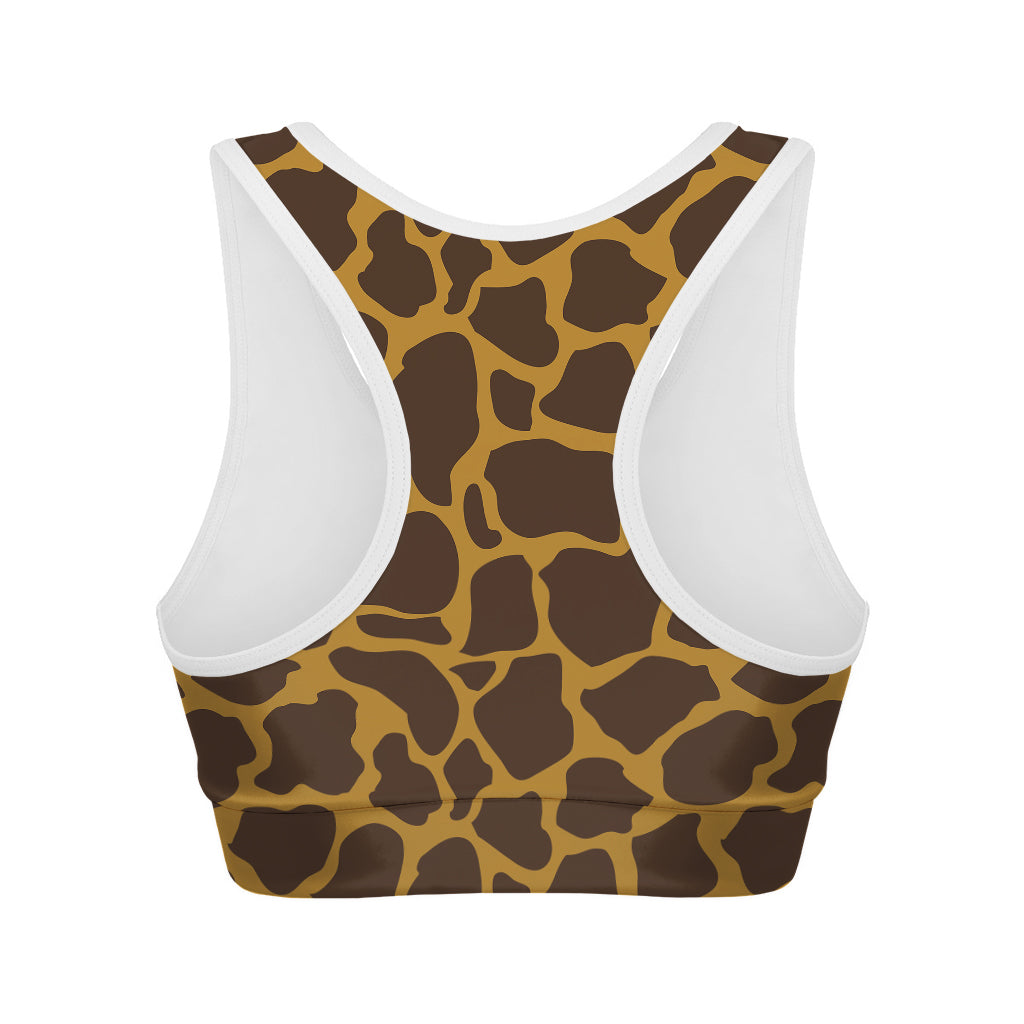 Dark Brown Cow Print Women's Sports Bra