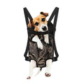 Dark Brown Paisley Pattern Print Pet Carrier Backpack
