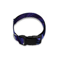 Dark Leo Zodiac Sign Print Dog Collar