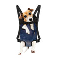 Dark Nebula Universe Galaxy Space Print Pet Carrier Backpack