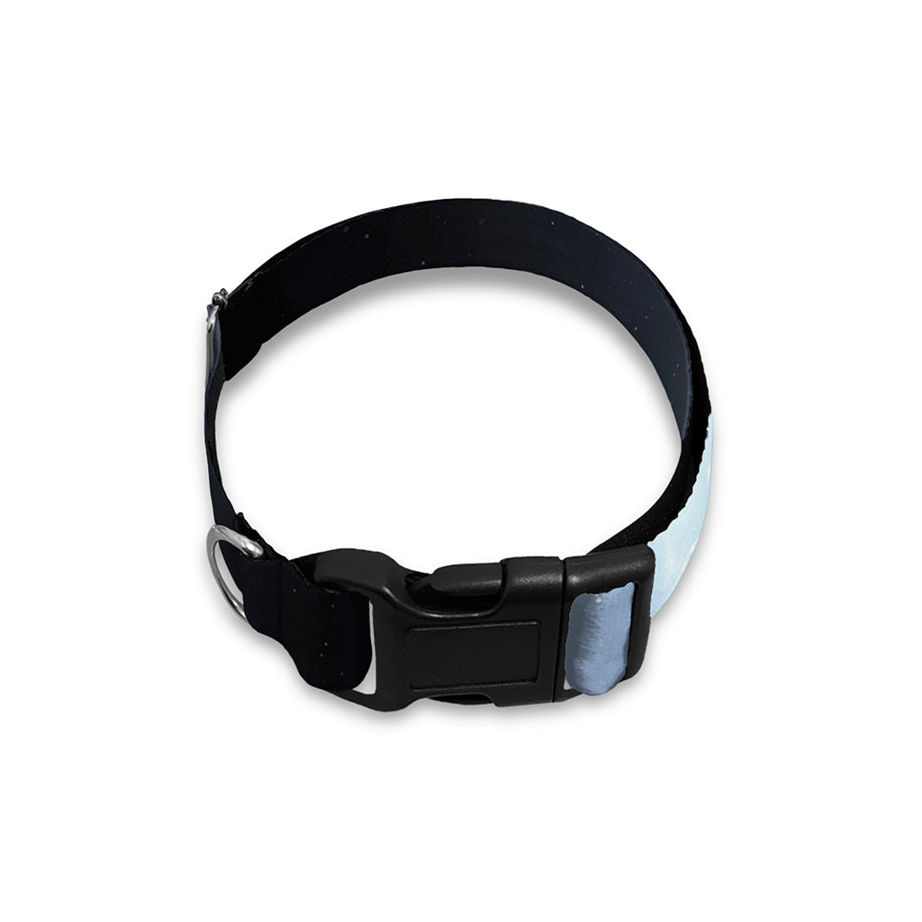 Dark Night UFO Print Dog Collar