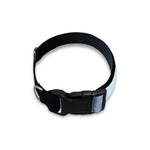 Dark Night UFO Print Dog Collar